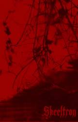 Skeeltron : Fortress Of Darkness